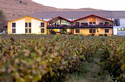 Sula_Vineyards